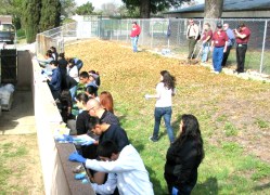 Youth Participating in the Solutions Program