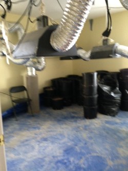 Another bedroom where marijuana was grown. Photo: Eastvale News