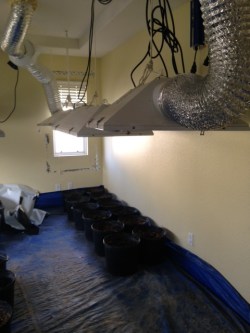 Special lights hang over pots of soil where marijuana was grown. Photo: Eastvale News