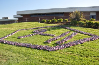 Photo Caption: Walnut High students placed nearly 3,000 flags in front of the campus to mark the anniversary of 9/11. (Photo Courtesy: Kelli Gile)