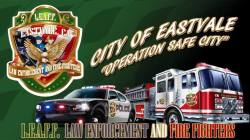 Photo Courtesy: LEAFF of Eastvale