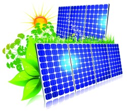 Advanced Improvements can be reached at (888) 698-8859.  