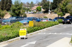 (Photo Courtesy: Jill Dolan)