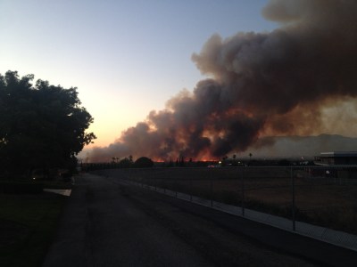 Photo By:  Felicia Oblea