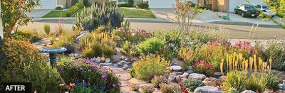 (Photo Courtesy:  BeWaterWise.com) California Friendly® Gardens – Every bit as beautiful, not nearly as thirsty.