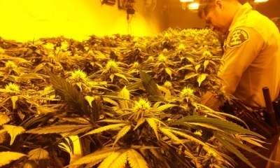 Photo Courtesy:  Industry Sheriff’s Station 