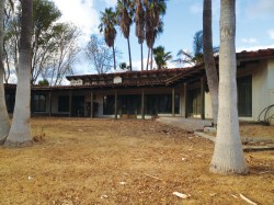 Photo By: K.P. Sander From the back yard looking at the Desi House.