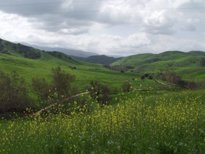 Photo courtesy of chinohillsstatepark.org