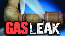 Photo courtesy: Google Images