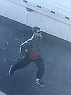 Chino PD is asking for the public’s assistance in identifying the theft suspect pictured above. 