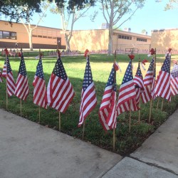 Photo courtesy: CNUSD School decorated the campus with American flags. 