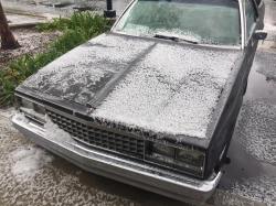 16195221_10210427059945178_4289949113097798031_n